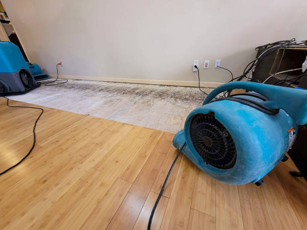 Professional Water Removal technician working in Albion, RI